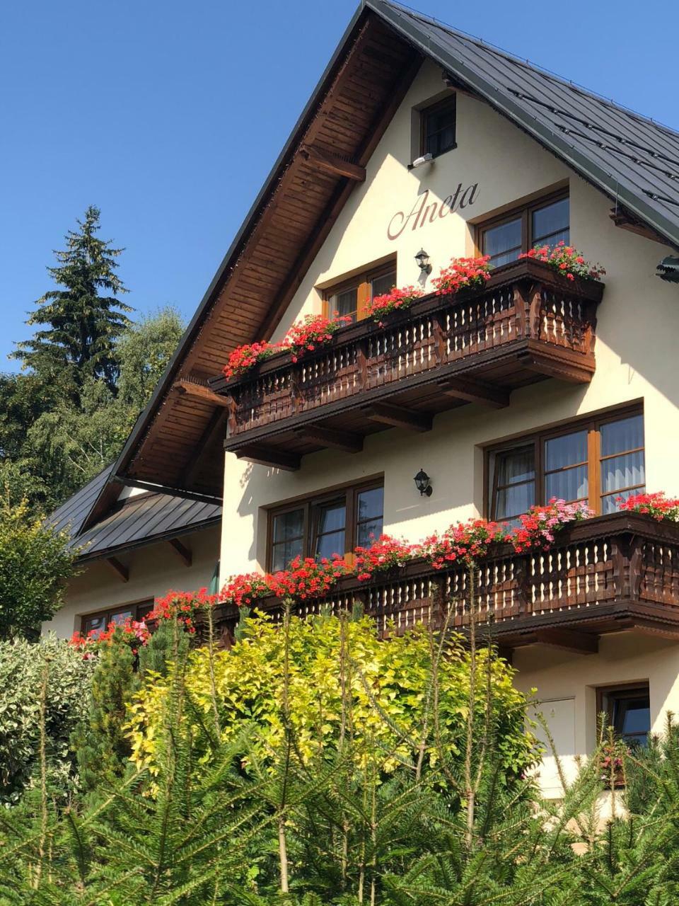 Apartmany Aneta Špindlerŭv Mlýn Dış mekan fotoğraf